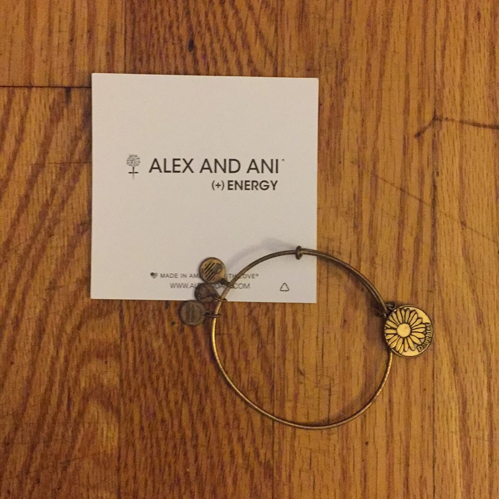 Alex + Ani Bracelet